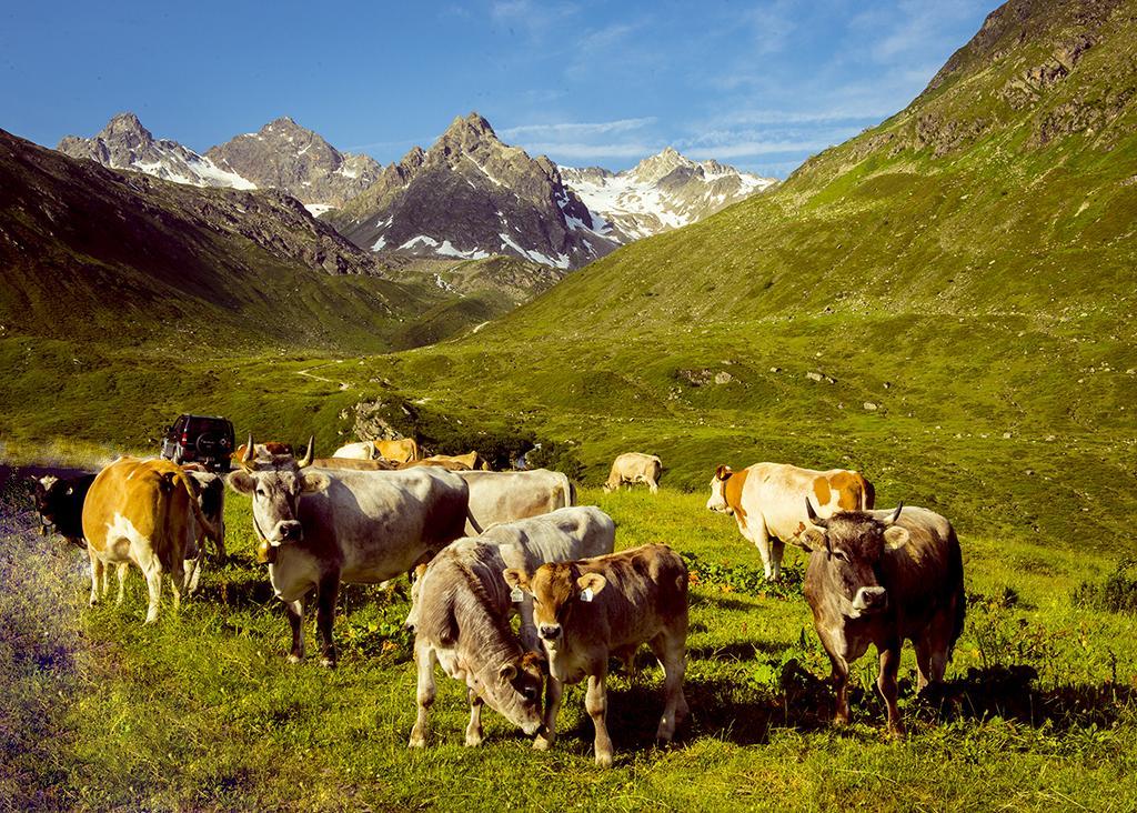 Alpenpension Maderer Gaschurn Exterior foto