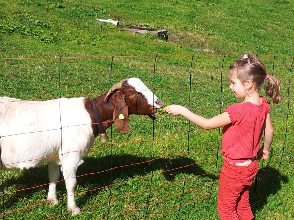 Alpenpension Maderer Gaschurn Cameră foto